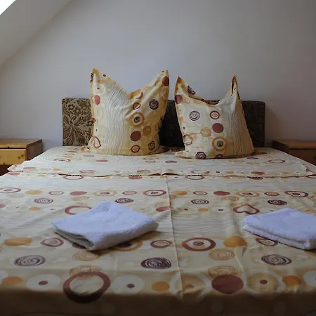 Pensiunea Casa Butnarului