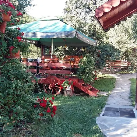 Pensiunea Casa Butnarului
