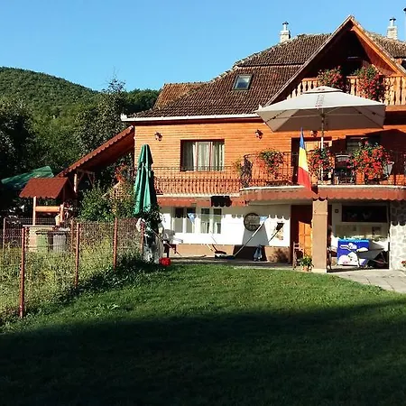 Pensiunea Casa Butnarului Felgyógy