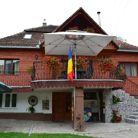 Pensiunea Casa Butnarului Felgyógy